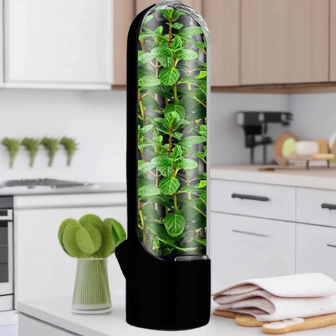 Conservador de Ervas Frescas, Porta Temperos para Geladeira, Utensílio para Armazenar Ervas, Porta Ervas Frescas Compacto, Conservador de Manjericão e Coentro, Porta Temperos Ecológico, Produto para Prolongar Frescor de Ervas, Kitchen&Co