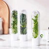 Conservador de Ervas Frescas, Porta Temperos para Geladeira, Utensílio para Armazenar Ervas, Porta Ervas Frescas Compacto, Conservador de Manjericão e Coentro, Porta Temperos Ecológico, Produto para Prolongar Frescor de Ervas, Kitchen&Co